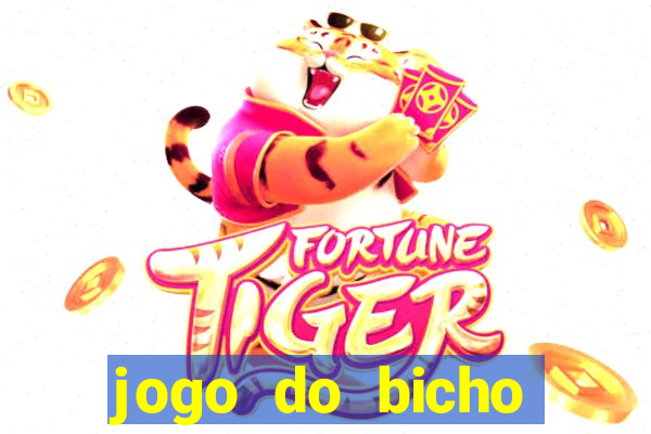 jogo do bicho crash bingo